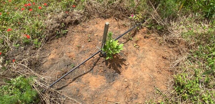 2 hectares à 500 metros  da RS 040 parada 89 aguas claras viamão