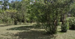 casa c/ 2 hectares parque eldorado 8 km da BR 290