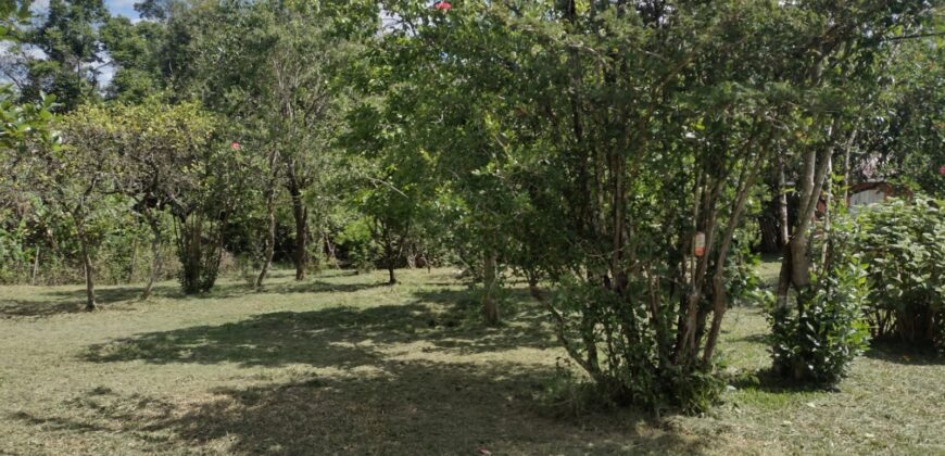 casa c/ 2 hectares parque eldorado 8 km da BR 290