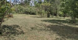 casa c/ 2 hectares parque eldorado 8 km da BR 290