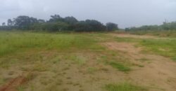2  hectares  na boa vista   à 2km da RS 040